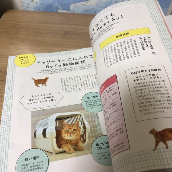 ねこのきもち】毎月届くベネッセの猫情報雑誌 福袋ギルド